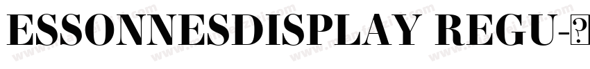 ESSONNESDISPLAY REGU字体转换